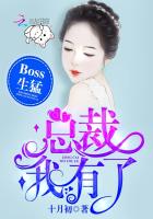 总裁boss奈我何