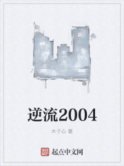 逆流2004后记