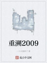 重溯2009