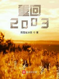 重回2003雨雪紫冰辰起点