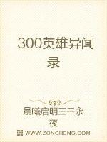 300英雄破解版