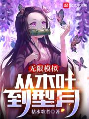 无限模拟:从木叶到型月最