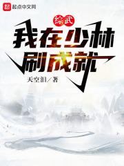 综武我在少林刷成就无防盗